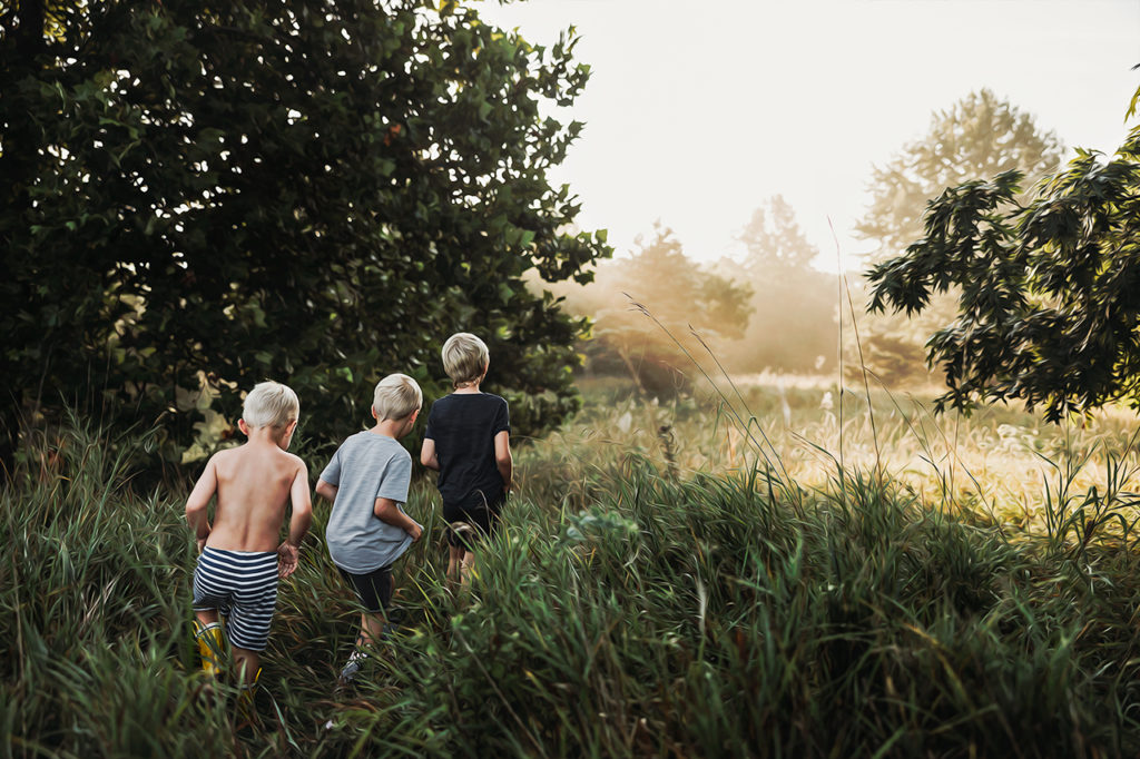 Three boys walking in a line out to a foggy grass area on the edge of the woods at sunrise.