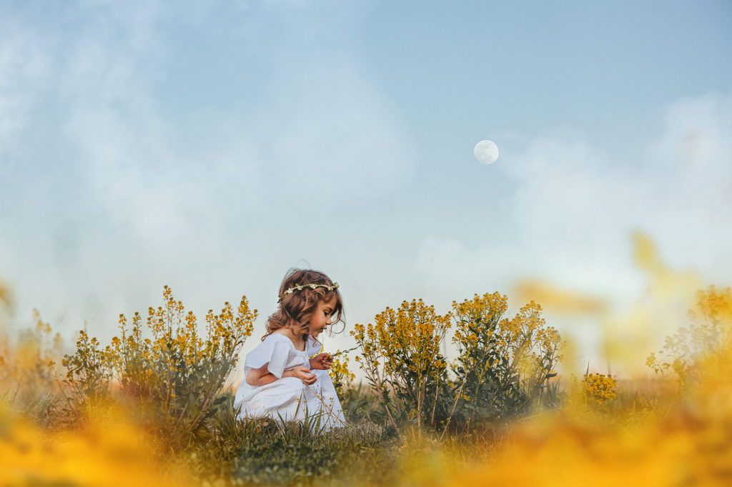 A young girl sitting in a field of yellow flowers examining a flower under the moon.